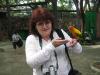 Выросшая пятиклассница Елена Мингалева с попугайчиком. Фото из личного архива героини интервью